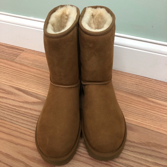 UGG Classic Short II Boots: Chestnut (UGG08) - Picture 2 of 6